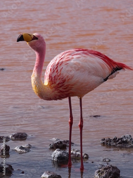 Obraz OLYMPUS DIGITAL CAMERA