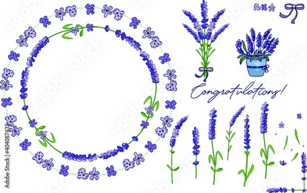 Fototapeta Lavender vector set. Wreaths with purple lavender, elements for design. Caption: Congratulations!