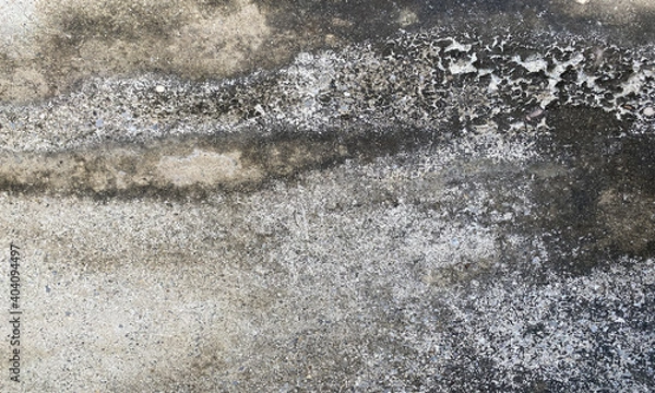 Fototapeta kasukasu20210109