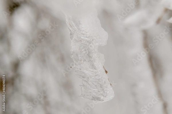 Obraz Ice icicles on a small tree.