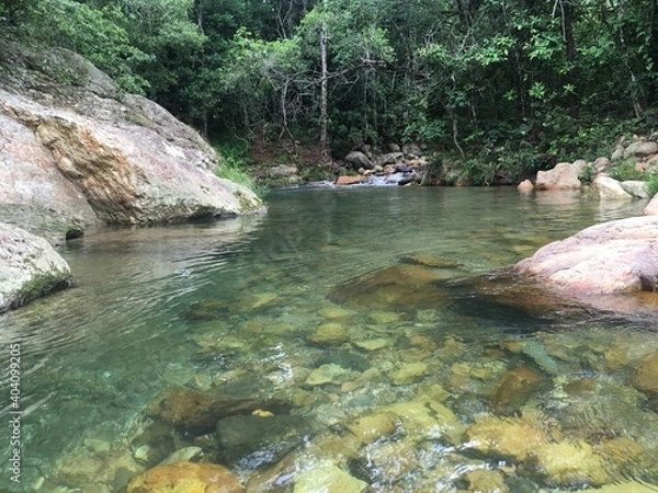 Obraz river in the forest