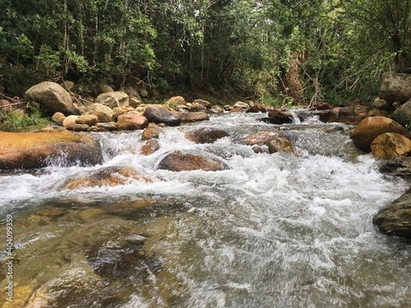 Obraz waterfall in the forest
