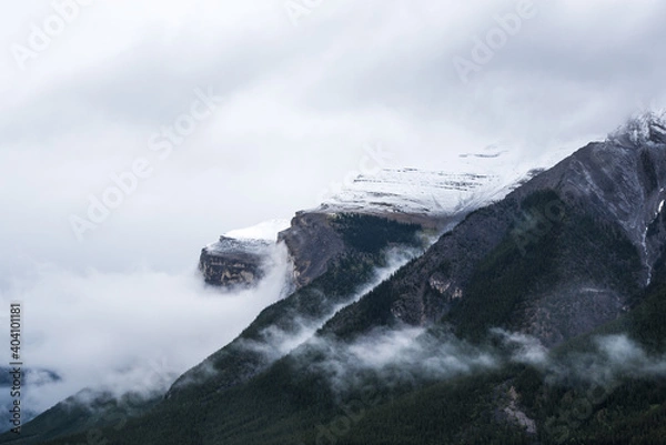 Fototapeta misty mountains