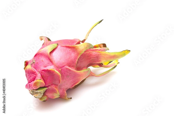 Obraz Dragonfruit on white background