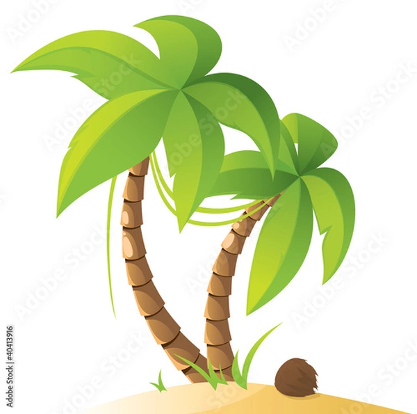 Fototapeta Palm trees