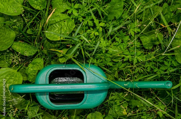 Fototapeta Green watering can in the grass. Photo of garden tools in the garden