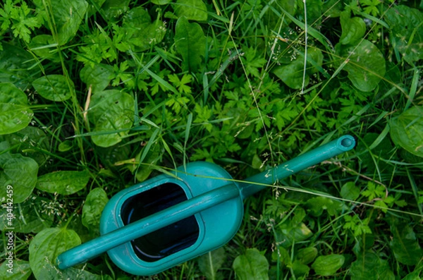 Fototapeta Green watering can in the grass. Photo of garden tools in the garden