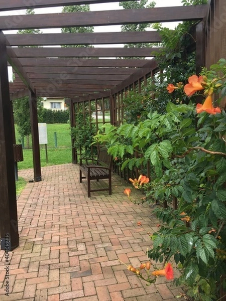 Obraz garden with flowers