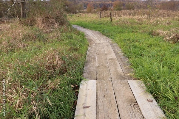 Obraz Wooden Path in Grass