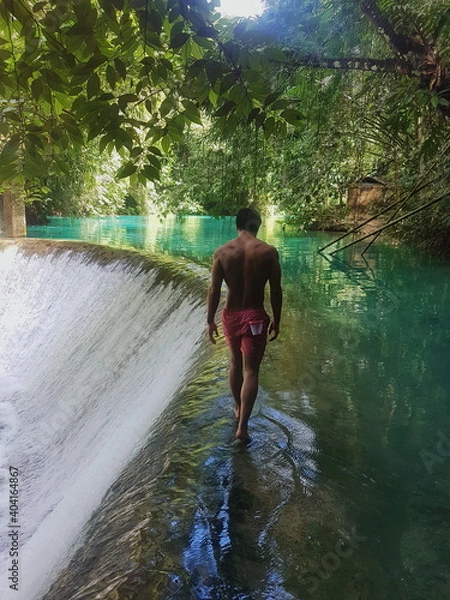 Obraz Jungle. Cebu, Philipins