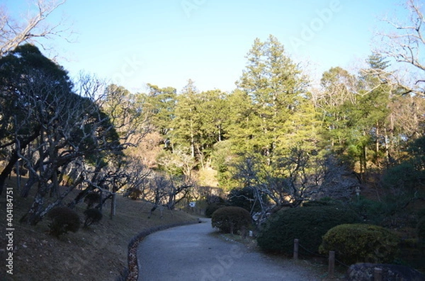 Fototapeta 成田山新勝寺の成田山公園