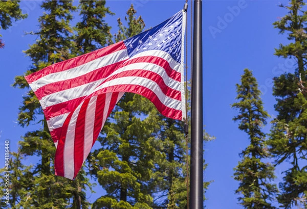 Obraz stars and stripes