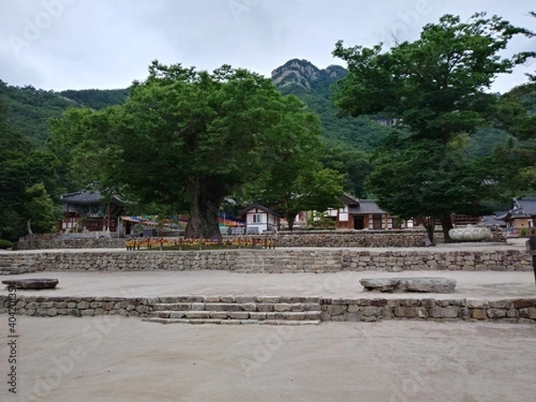 Obraz 대한민국 전라북도 부안군 내소사