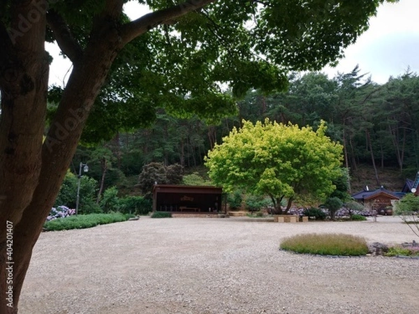 Obraz 대한민국 전라북도 부안군 내소사