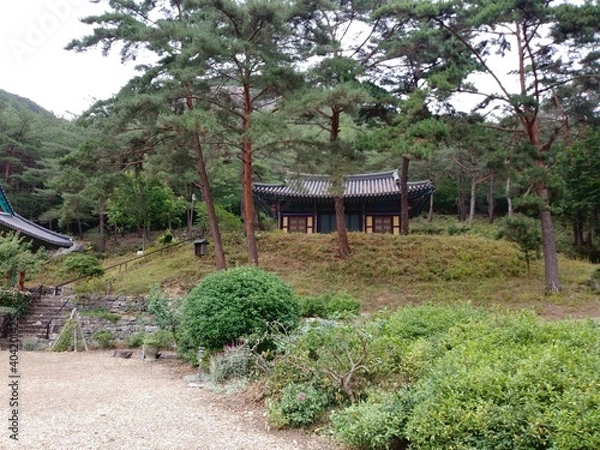 Fototapeta 대한민국 전라북도 부안군 내소사