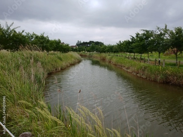 Obraz 대한민국 전라북도 부안군 줄포만갯벌생태공원