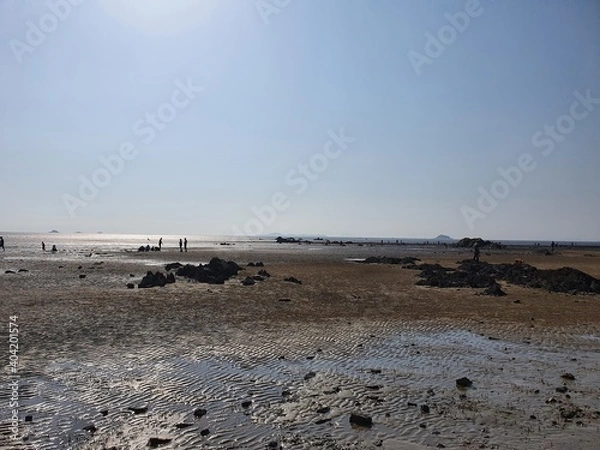 Obraz 대한민국 충청남도 서천군 장항읍 해수욕장