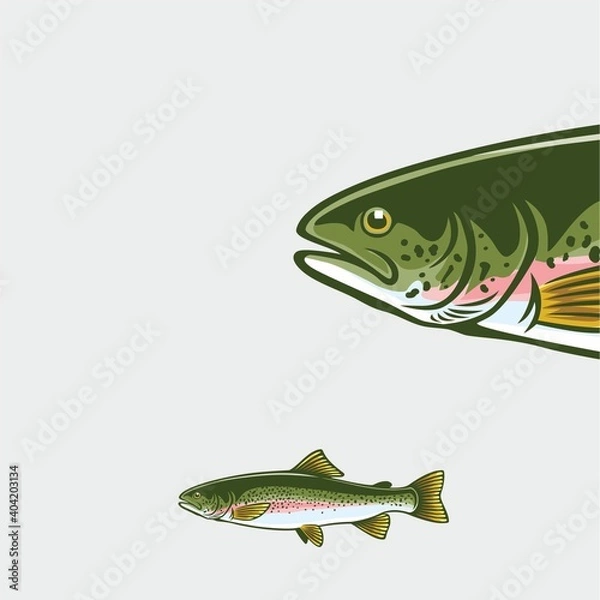 Obraz color trout  logo