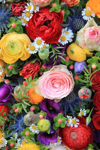 Fototapeta mixed summer flowers