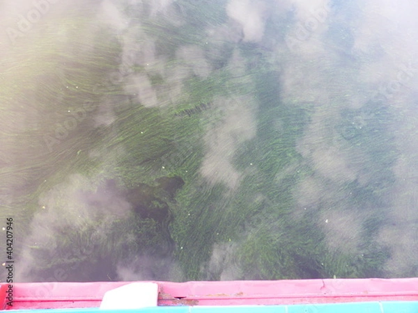 Fototapeta Algae and clouds in the Volga River. And there's a fog over the river