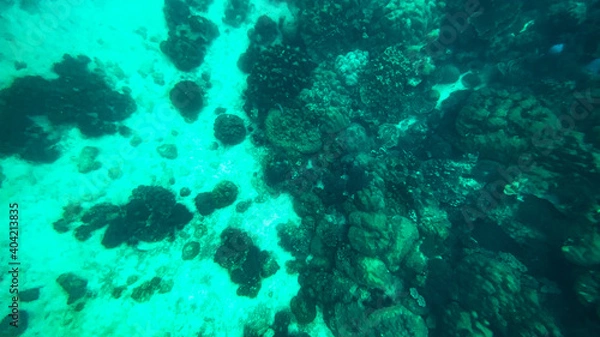 Fototapeta Dive into the sea of Koh Lipe