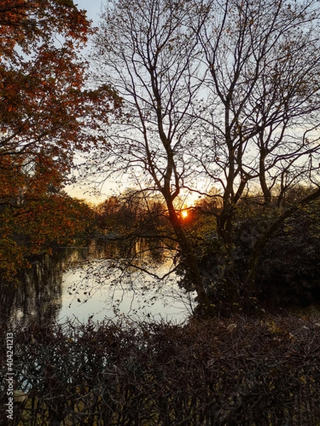 Fototapeta sunset over the river
