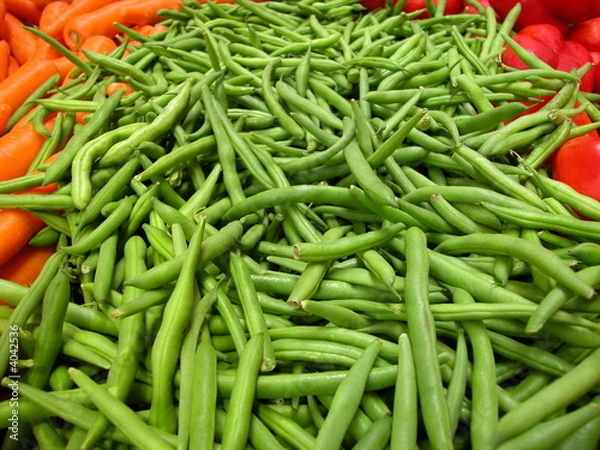 Fototapeta freash round beans