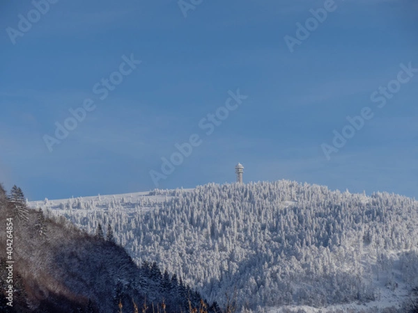 Obraz Winterlandschaft