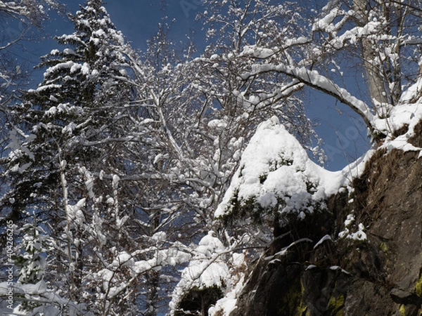 Obraz Winetr landschaft