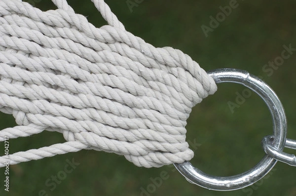 Obraz Ropes and ring, closeup