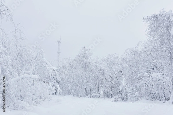 Fototapeta white winter snowy landscape - a road through the forest and an icy cell tower in the distance after a snowfall