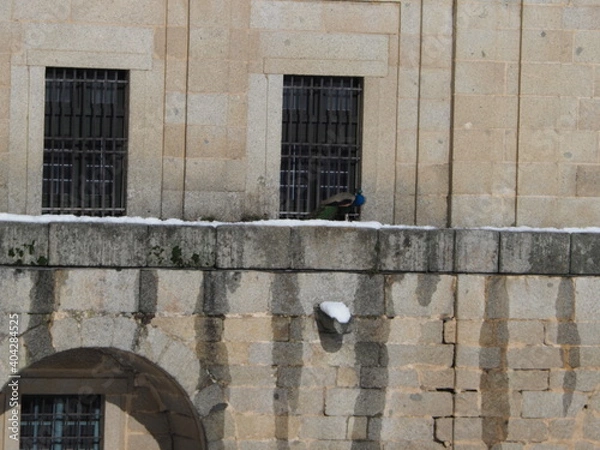 Obraz Monasterio de El Escorial
