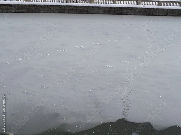 Obraz Monasterio de El Escorial