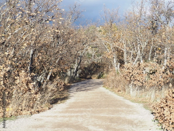 Obraz OLYMPUS DIGITAL CAMERA