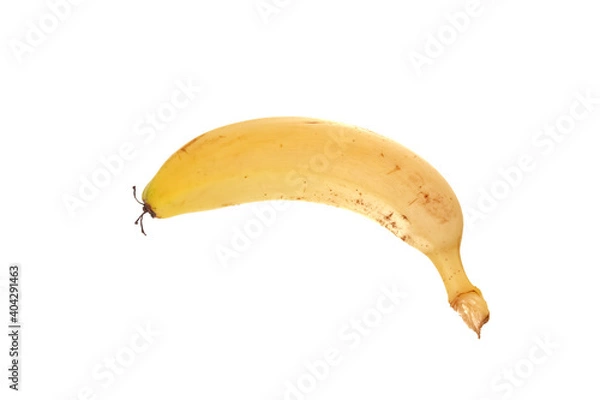 Obraz Organic fresh banana isolated on white background.