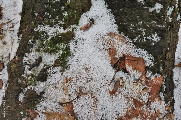 Obraz Round snow flakes