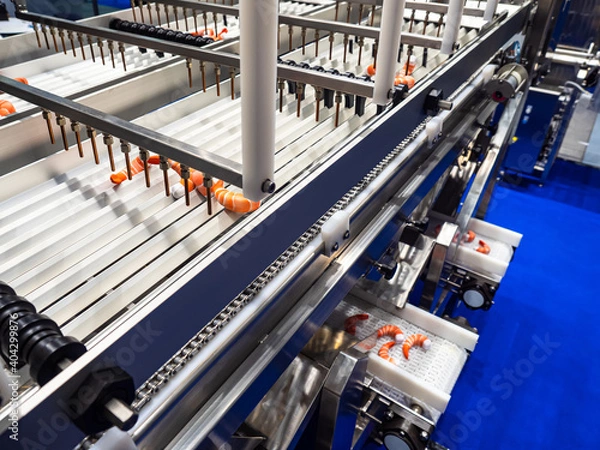Fototapeta Production line food. Production line with peeled shrimps. Large king shrimps on a production line. Concept - seafood factory. Shrimps cleaning equipment. Seafood factory conveyor.