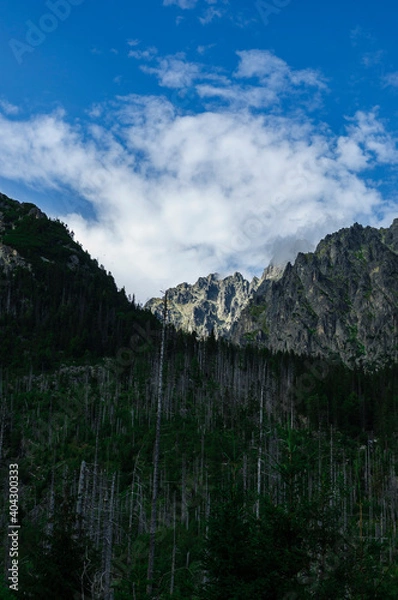 Fototapeta Słoneczne góry Tatry (Słowacja)