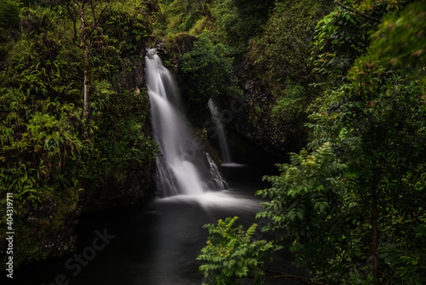 Obraz waterfall in the forest