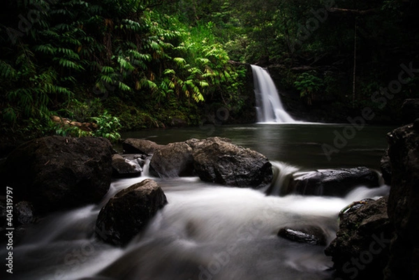 Obraz waterfall in the forest
