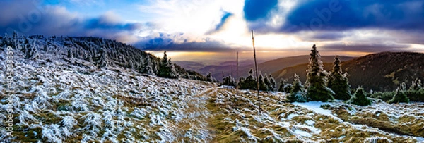 Obraz Scenic landscape with spruce trees covered with rime, view from a mounatin range to the valley.Sun behind clouds, dramatic clouds.Jeseniky.Czech republic. .