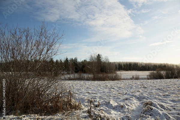 Obraz Landscape with fields covered with snow
