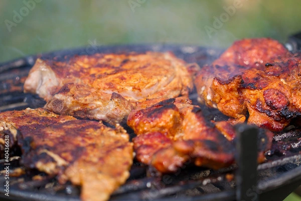 Obraz Fresh meat