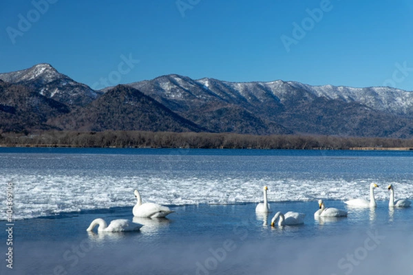 Fototapeta 北海道　屈斜路湖の冬の風景