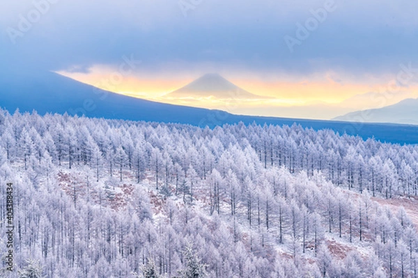 Fototapeta 【長野県】ビーナスラインから見る富士山