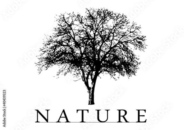Obraz Nature