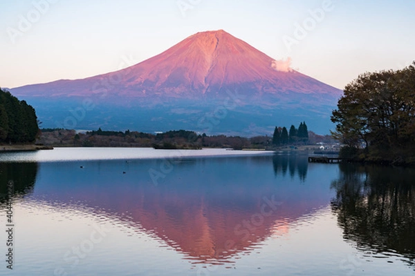 Fototapeta 富士山　田貫湖　リフレクション　夕暮れ
