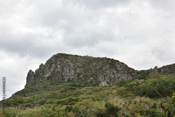 Fototapeta 日本の沖縄の辺戸岬の美しく荒々しい風景