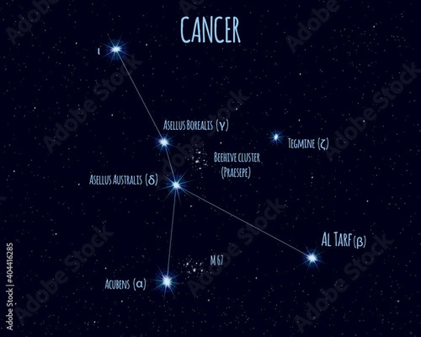 Obraz Cancer constellation, vector illustration with the names of basic stars against the starry sky
