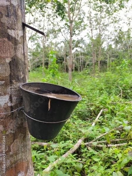 Fototapeta kettle on the fire